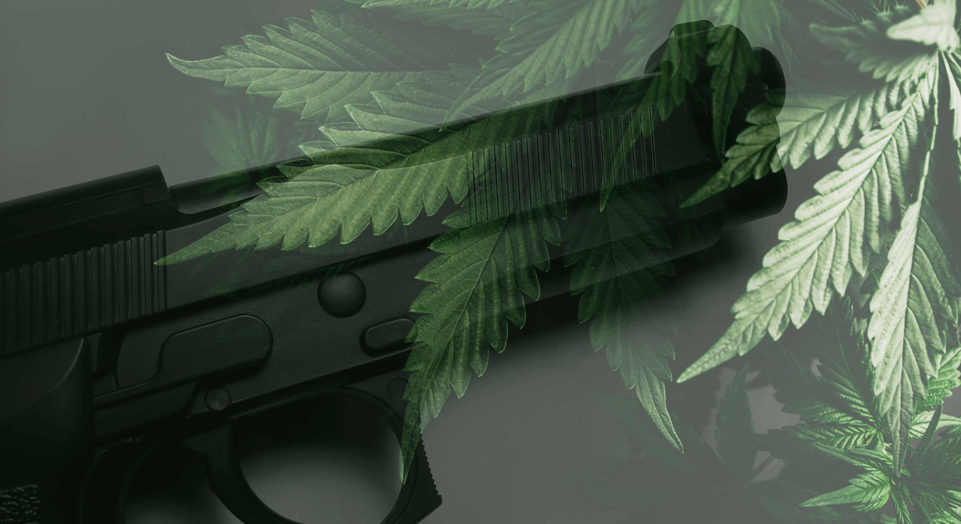 The Truth About Gun Rights and Pot Legalization